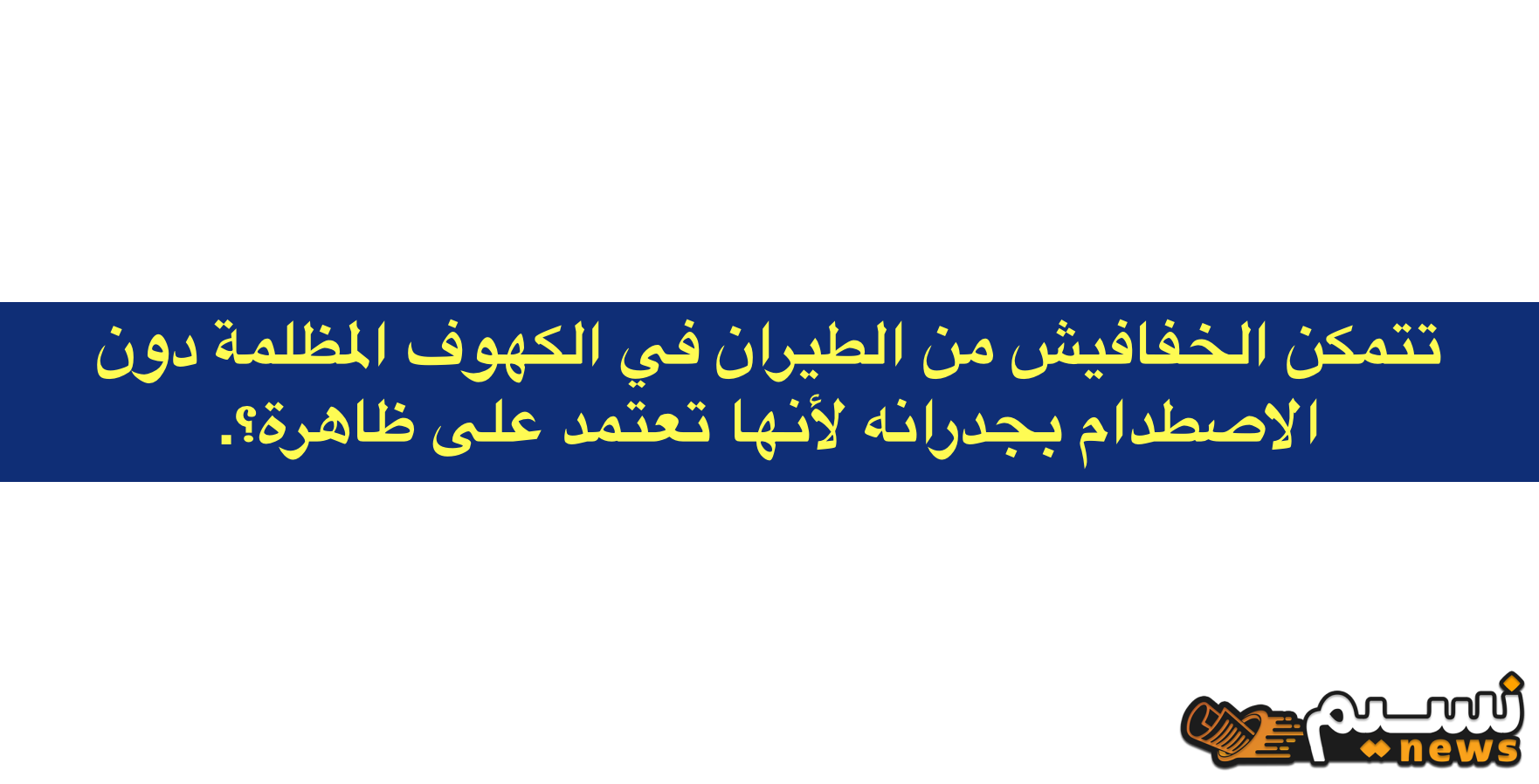 تتمكن الخفافيش من الطيران في الكهوف المظلمة دون الاصطدام بجدرانه لأنها تعتمد على ظاهرة؟.. تعرف على الحل