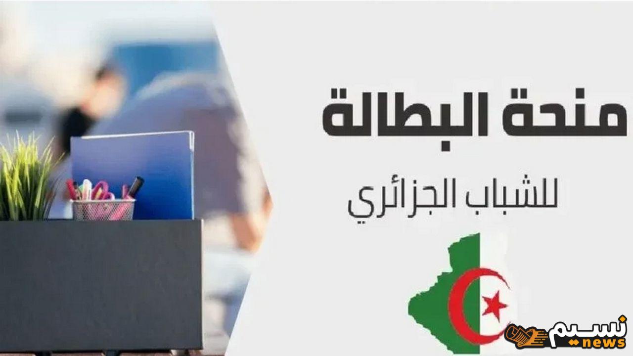 تجديد منحة البطالة في الجزائر 2024 عبر موقع الوكالة الوطنية للتشغيل anem.dz