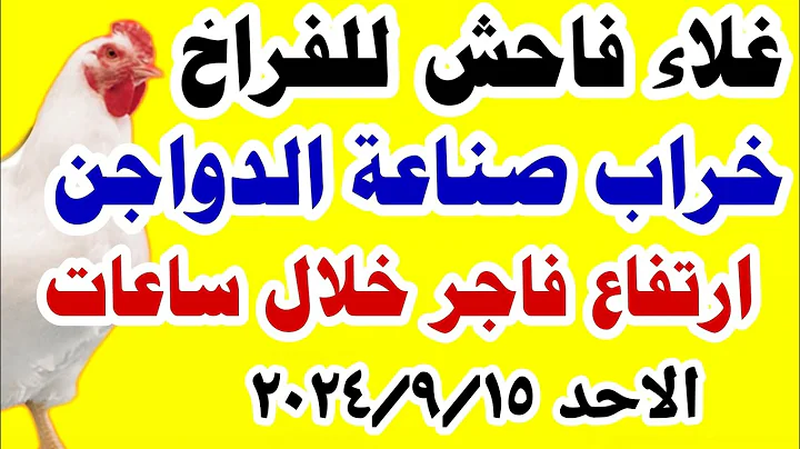 سعر الفراخ البلدي والبيضاء اليوم الاحد 15 سبتمبر 2024 والبيض في مصر