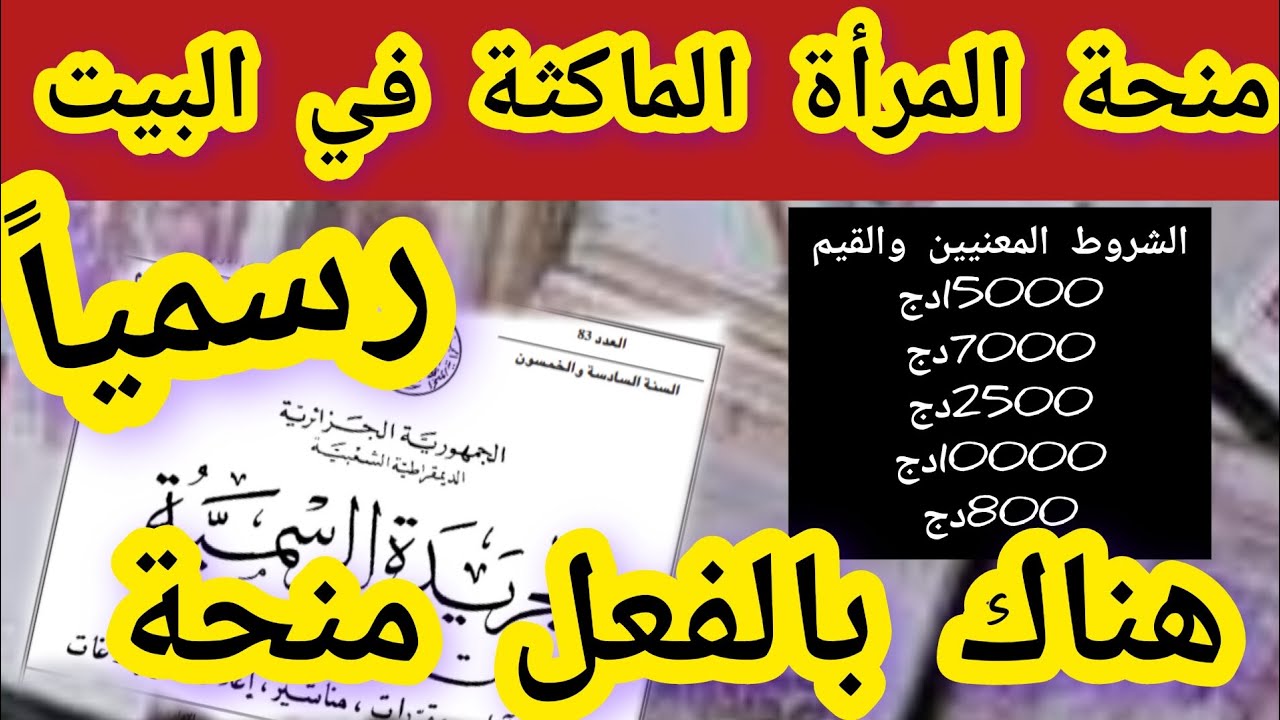 فرصة متتعوضش.. منحة المرأة الماكثة في المنزل 2024 الجزائر عبر موقع الوكالة الوطنية للتشغيل